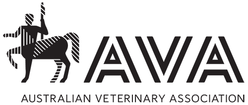 AVA-Logo-500