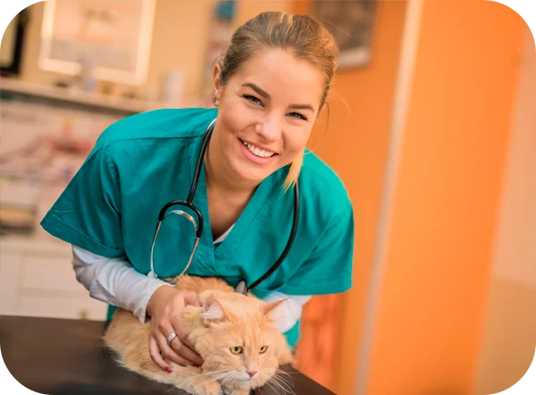 Veterinary student insurance