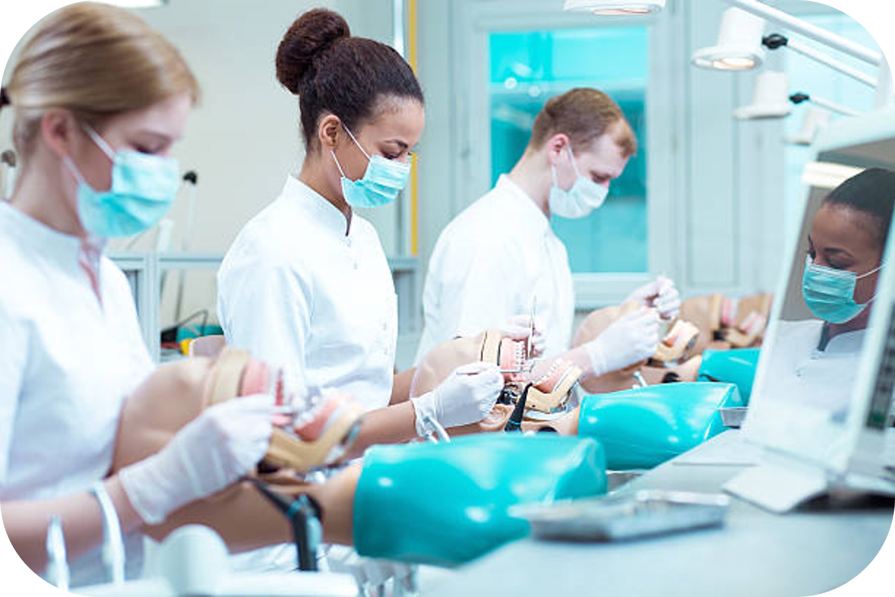Dental Students