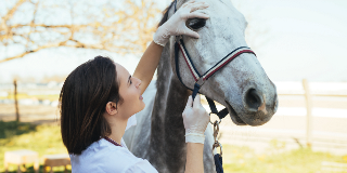 Reducing risks in pre-purchase examinations