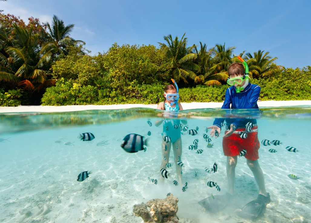 Fiji_snorkel_Paradise
