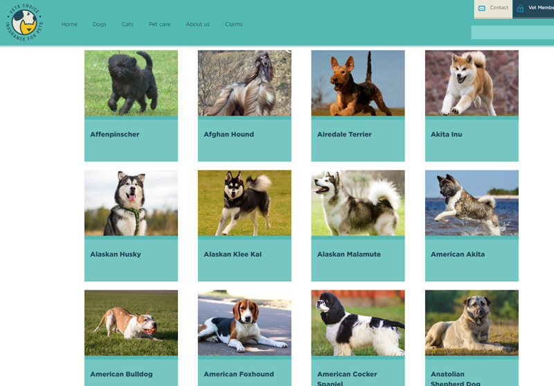 Dog breeds list Dog breed information & images of each breed Vets